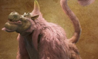 《怪物猎人：荒野》桃毛兽王弱点介绍