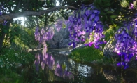 《刺客信条：影》MTC用户评分解禁 PC 3.9分