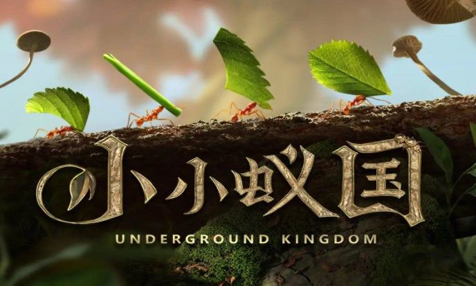 小小蚁国新手攻略大全-小小蚁国开局发展玩法推荐
