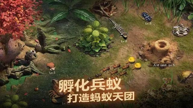 小小蚁国怎么加好友?加好友攻略