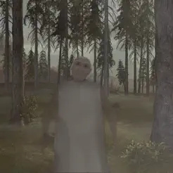 恐怖奶奶：迷雾游戏下载