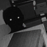 alternatewatch伪人观察中文版单机纯净版