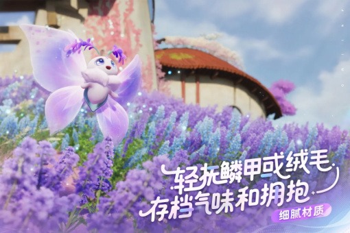 imgi_155_-950585142_2099182883